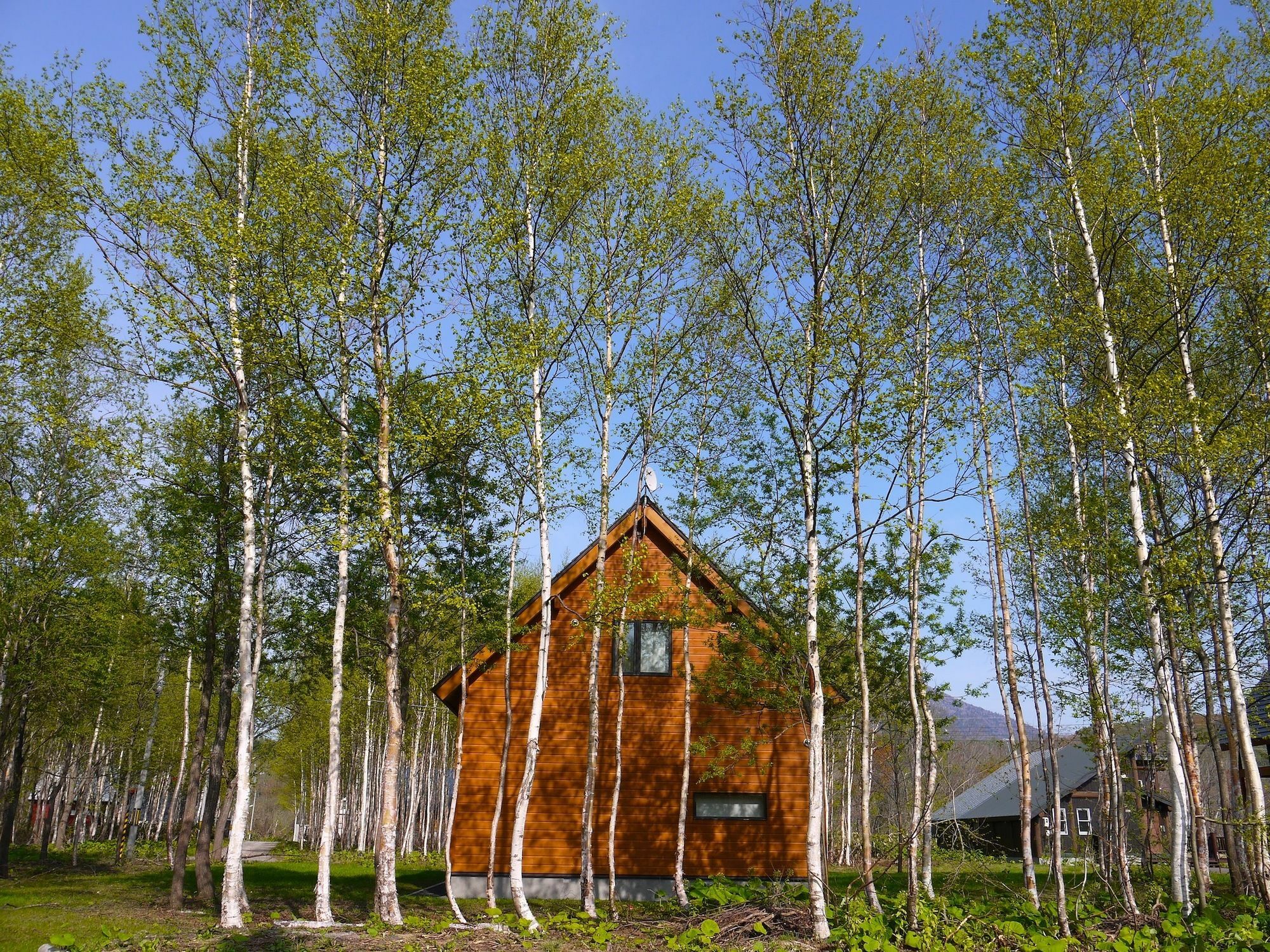 Country Resort Niseko Кучан Екстериор снимка